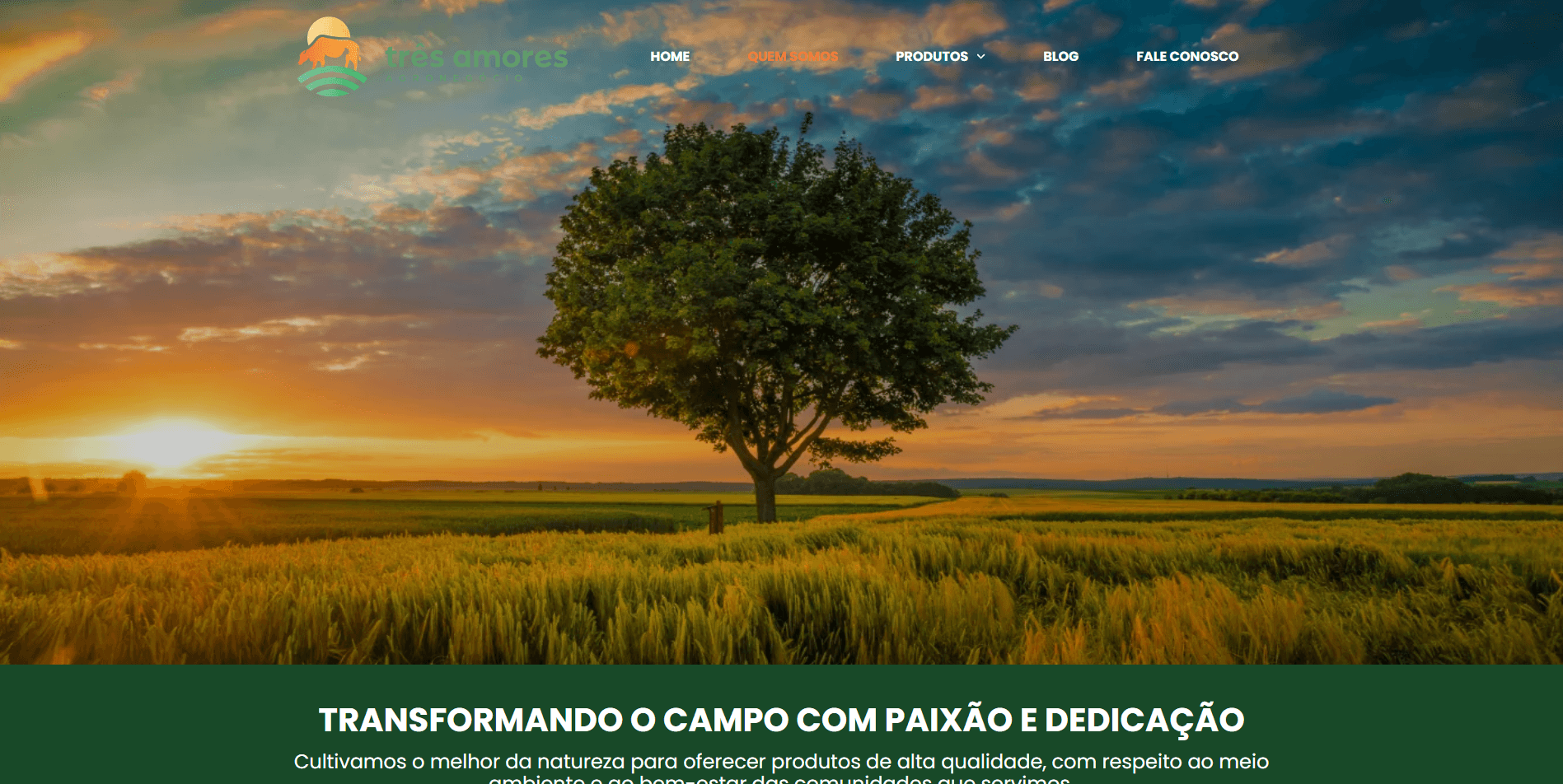 Case Tres Amores - Site institucional